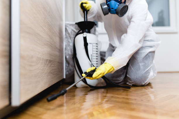 Best Pest Prevention Services  in Kellyville, OK