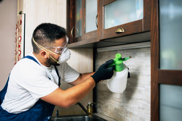 Best Pest Inspection Near Me  in Kellyville, OK