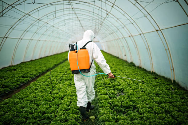 Best Pest Removal Services  in Kellyville, OK