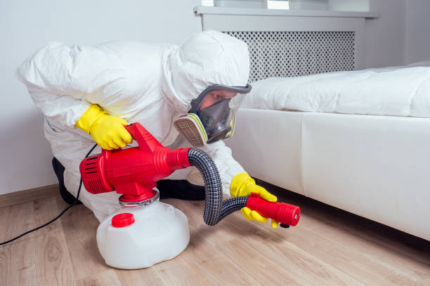 Best Mosquito Control Services  in Kellyville, OK