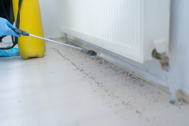 Professional Pest Control in Kellyville, OK