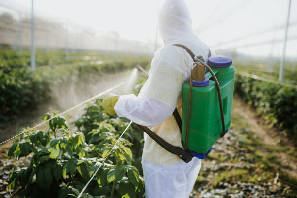Best Local Pest Control Services  in Kellyville, OK